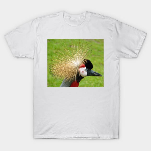 Crowned crane bird T-Shirt by TDArtShop